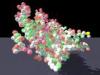 protein-1